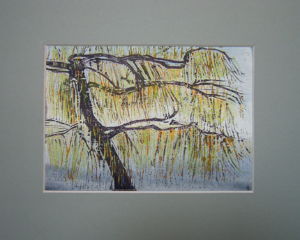 Spring Willow Woodcut