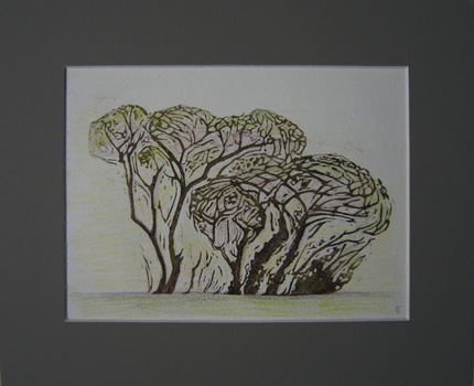 Hawthorns Woodcut