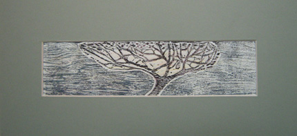 Old Apple Tree