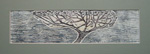 Old apple tree