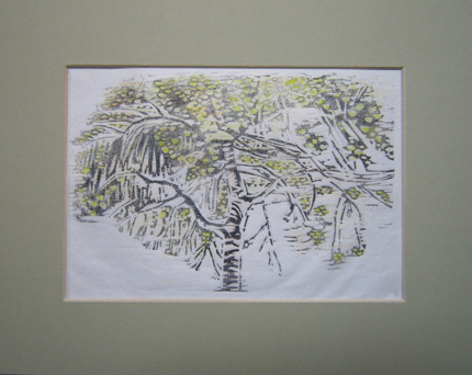 Spring Birch Woodcut